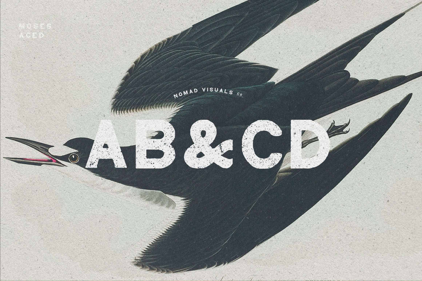 Vintage Logo Creator Kit